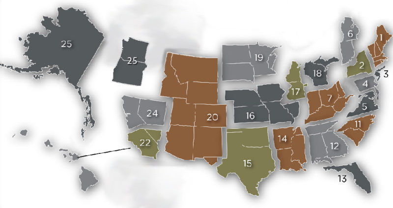 MAFSI Regions